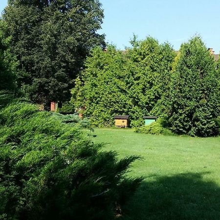 Kwiatowa Zagroda Białowieża Exterior foto