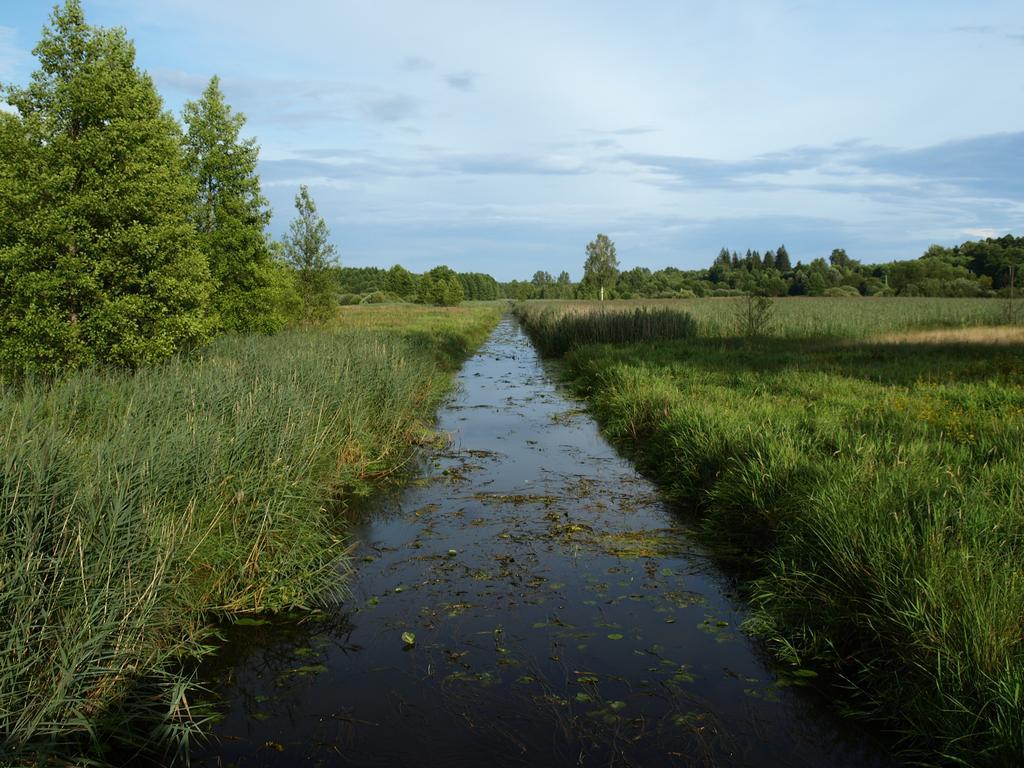 Kwiatowa Zagroda Białowieża Exterior foto