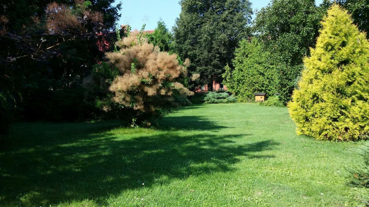 Kwiatowa Zagroda Białowieża Exterior foto